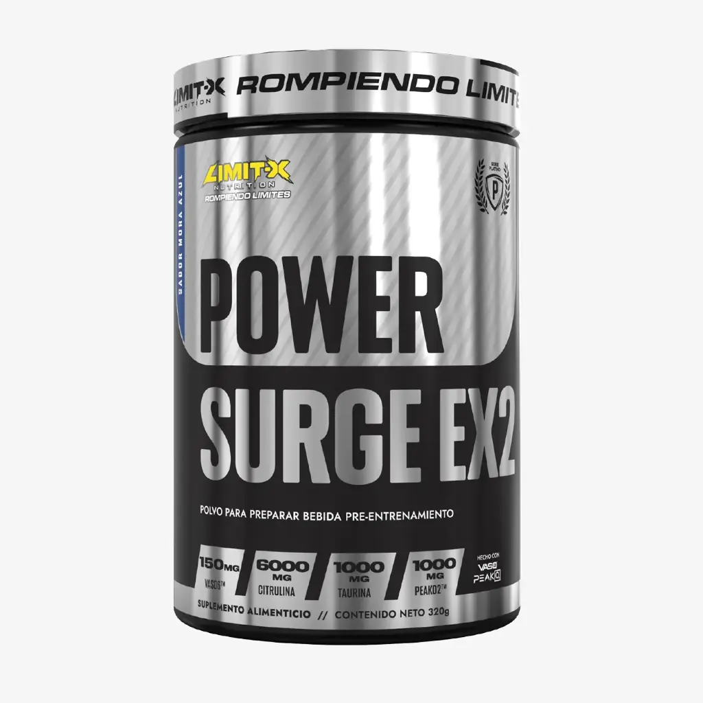 Power Surge Ex2 320g